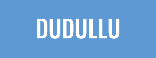 Dudullu Kurye