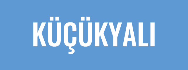 Küçükyalı Kurye